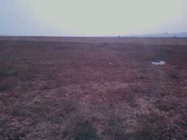 相片: 出售 土地 12,000 m2