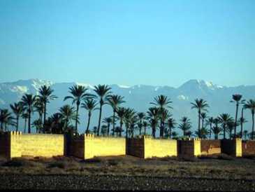 相片: 出售 土地 10,000 m2