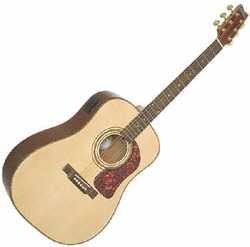 相片: 出售 吉他和其它弦乐器 WASHBURN - WASHBURN ACUSTICA DK20T AMERICANA