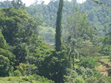 相片: 出售 土地 170,000 m2