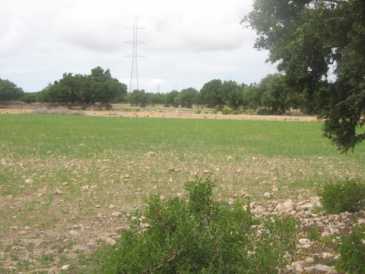 相片: 出售 土地 13,500 m2