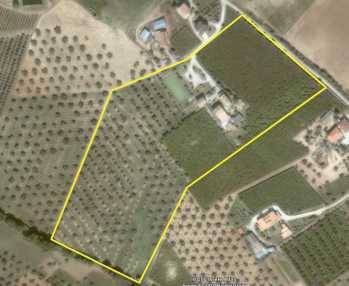 相片: 出售 大厦 2,000 m2