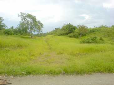 相片: 出售 土地 15,589 m2