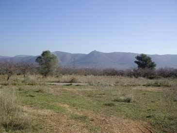 相片: 出售 土地 17,000 m2