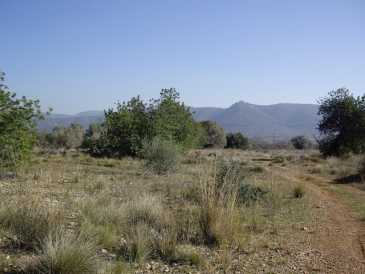 相片: 出售 土地 17,000 m2