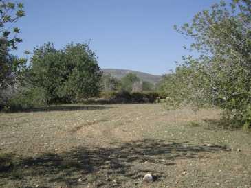 相片: 出售 土地 2,900 m2