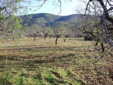 相片: 出售 土地 3,500 m2