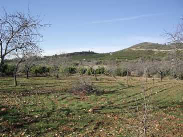 相片: 出售 土地 2,800 m2