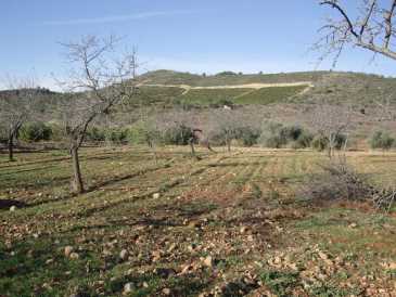 相片: 出售 土地 2,800 m2