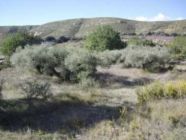 相片: 出售 土地 4,400 m2