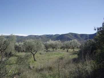 相片: 出售 土地 2,900 m2