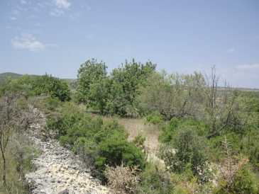 相片: 出售 土地 11,200 m2