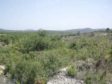 相片: 出售 土地 11,200 m2