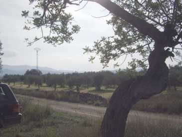 相片: 出售 土地 11,200 m2