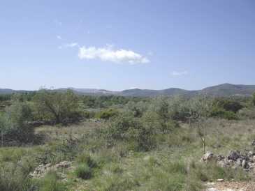 相片: 出售 土地 13,500 m2