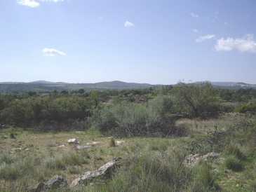 相片: 出售 土地 13,500 m2