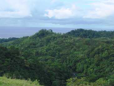 相片: 出售 土地 400 m2