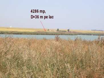 相片: 出售 土地 4,286 m2