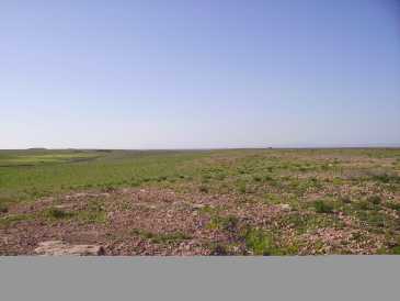 相片: 出售 土地 3,000 m2