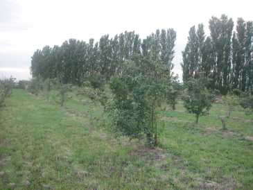 相片: 出售 土地 9,000 m2