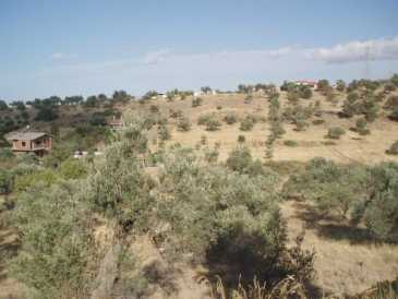 相片: 出售 土地 5,292 m2