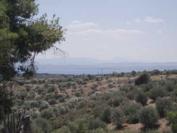 相片: 出售 土地 10,389 m2