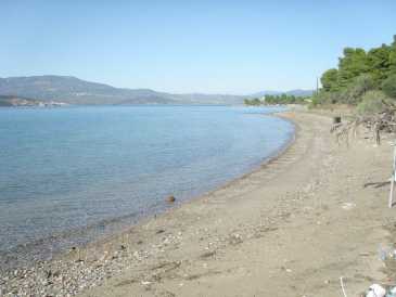 相片: 出售 土地 2,991 m2