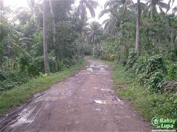 相片: 出售 农场 2,000 m2