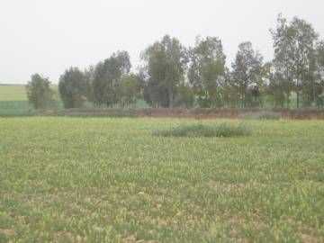 相片: 出售 土地 90,000 m2
