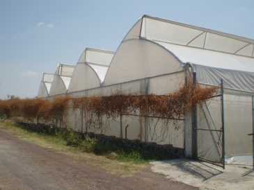 相片: 出售 房子 360 m2