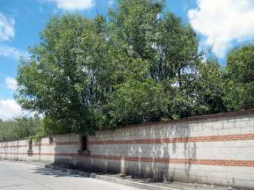 相片: 出售 土地 300 m2