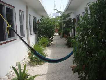 相片: 出售 5 间卧室公寓 180 m2