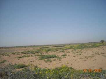 相片: 出售 土地 30,000 m2