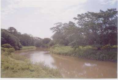相片: 出售 土地 1,200,000 m2