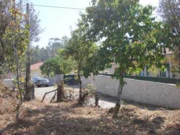 相片: 出售 土地 900 m2