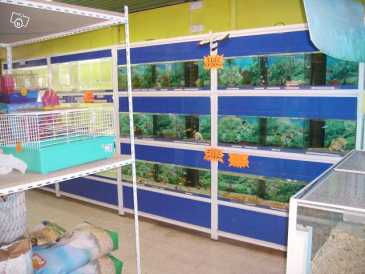 相片: 出售 商店 200 m2