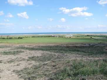 相片: 出售 土地 10,000 m2