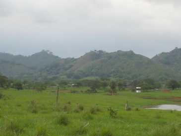 相片: 出售 土地 380,000 m2