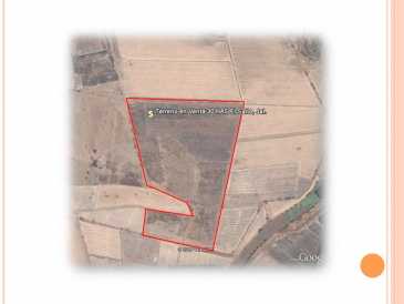 相片: 出售 土地 300,000 m2