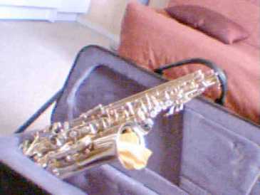 相片: 出售 黄铜、woodwind 和其它管乐器 SELMER - SELMER SERIE III