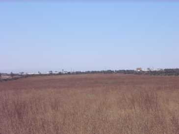相片: 出售 土地 20,000 m2