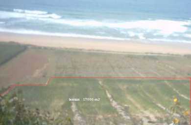 相片: 出售 土地 17,000 m2