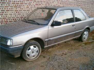 相片: 出售 汽车 PEUGEOT - 309