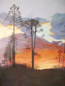 相片: 出售 绘画和图画 ATARDECER