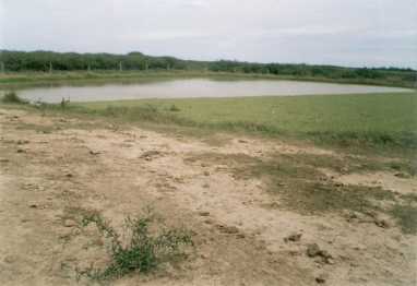 相片: 出售 土地 2,000,000 m2