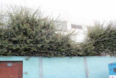 相片: 出售 1 栋卧室公寓 400 m2