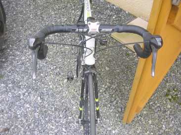 相片: 出售 自行车 GO SPORT  SPEGO 130 T58 - SPEGO 130
