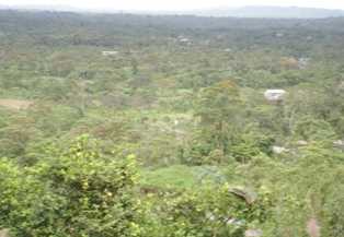 相片: 出售 土地 20,000 m2
