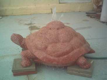 相片: 出售 雕塑 大理石 - TORTUGA