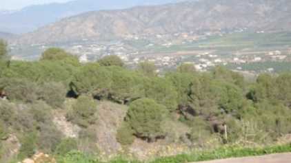 相片: 出售 土地 1,000 m2